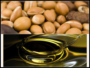 argan-oil-and-nuts-for-acne_postcard